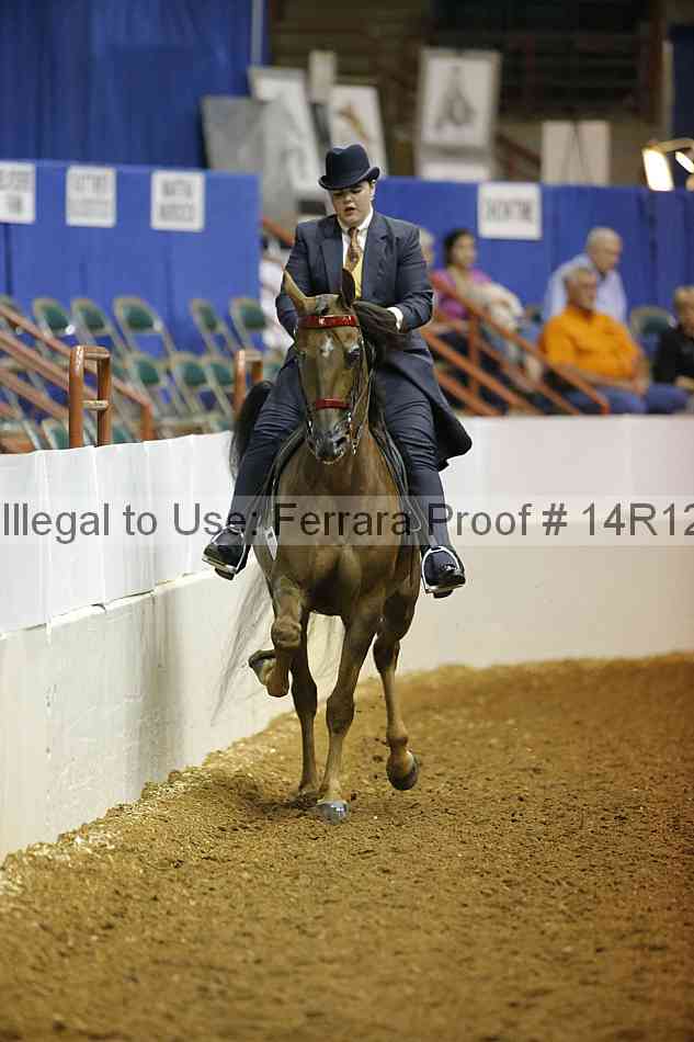 Proof 14r12_3732