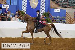 14r12_3753 proof