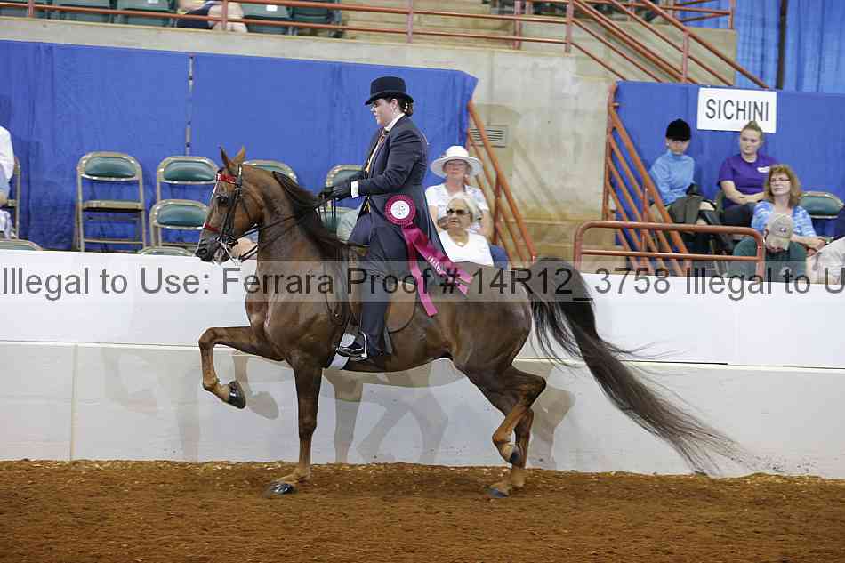 Proof 14r12_3758
