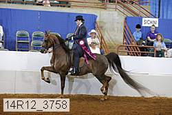 14r12_3758 proof