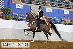 14r12_3761 proof