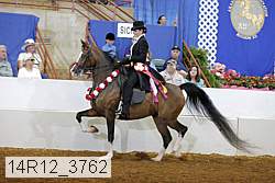 14r12_3762 proof