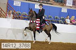 14r12_3768 proof