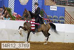 14r12_3769 proof