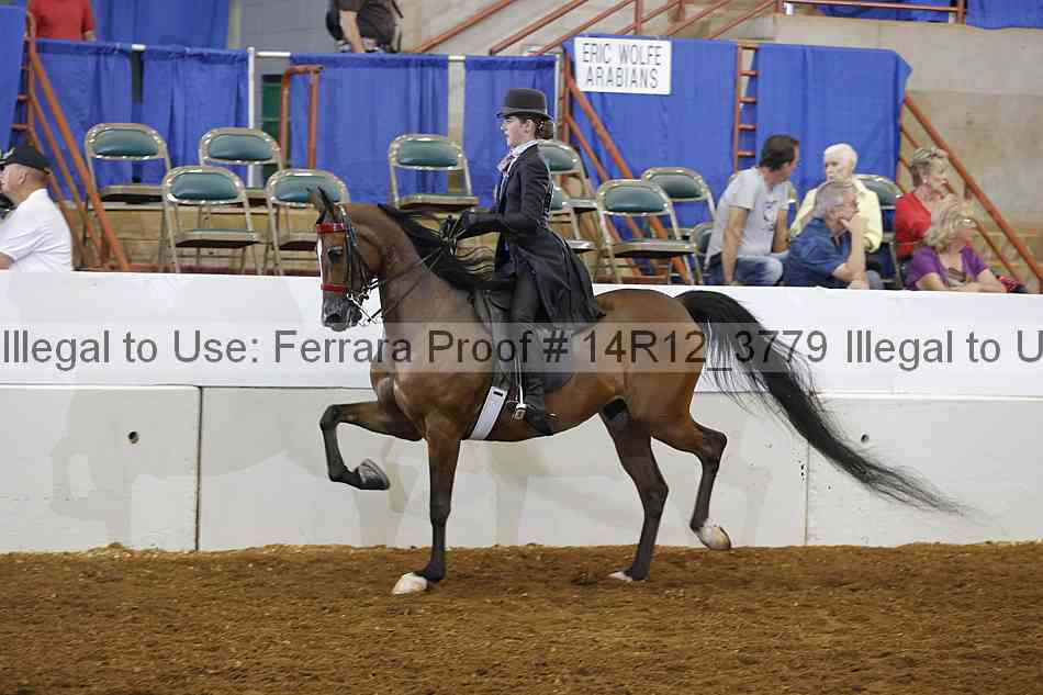 Proof 14r12_3779