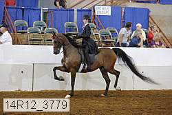 14r12_3779 proof