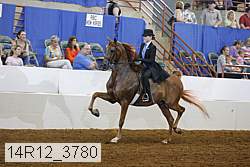 14r12_3780 proof