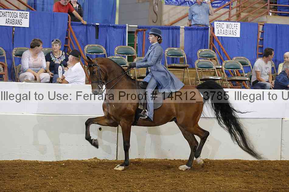Proof 14r12_3785
