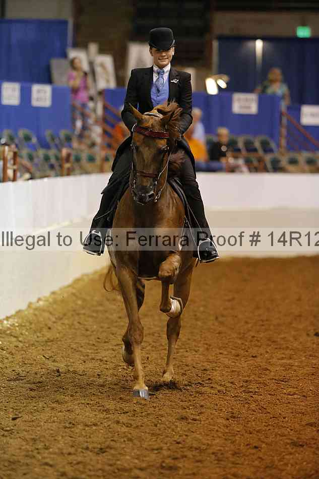 Proof 14r12_3786