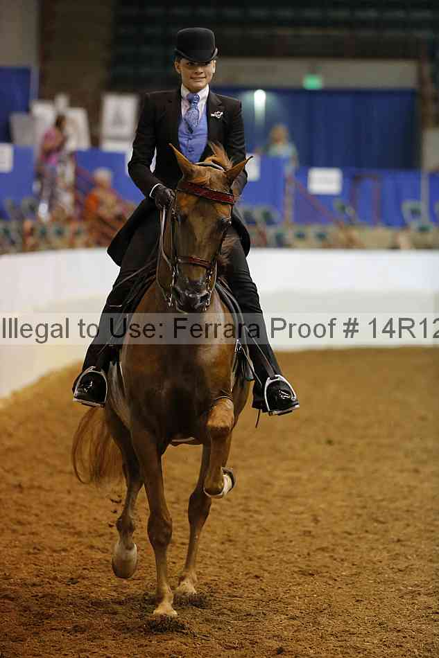 Proof 14r12_3787