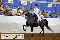 14r12_3791 proof
