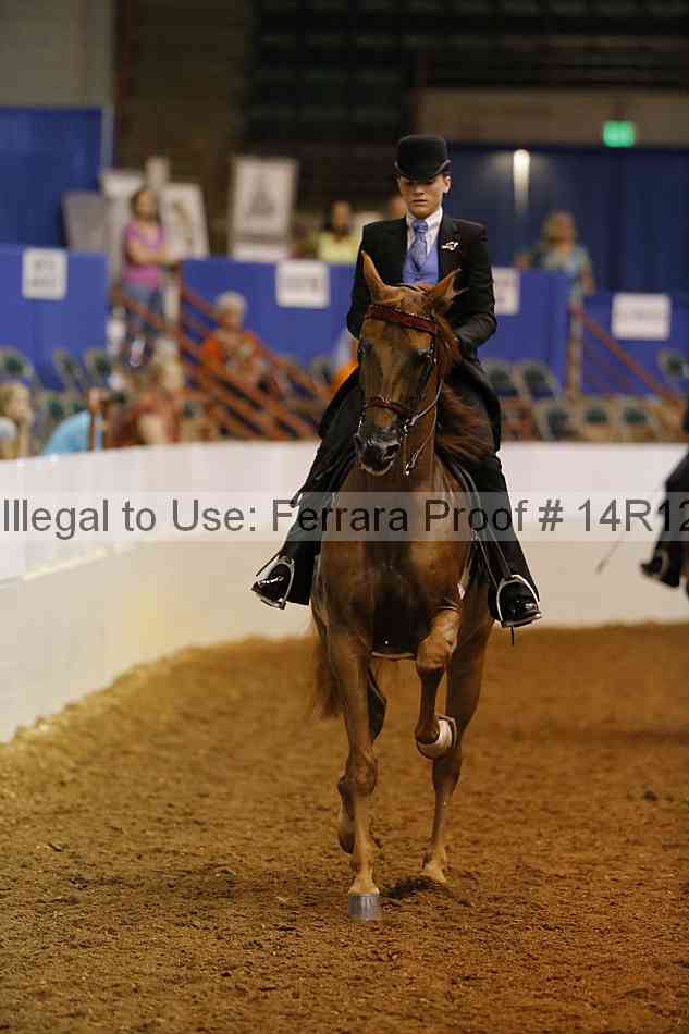 Proof 14r12_3797
