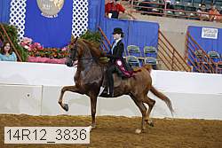14r12_3836 proof