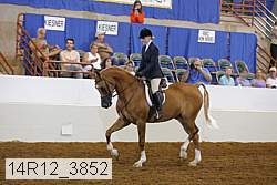 14r12_3852 proof