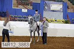 14r12_3863 proof