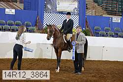 14r12_3864 proof