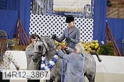 14r12_3867 proof