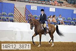14r12_3871 proof