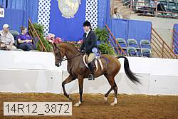 14r12_3872 proof