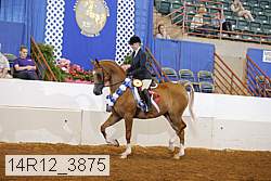 14r12_3875 proof