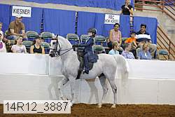 14r12_3887 proof
