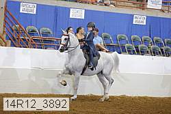 14r12_3892 proof