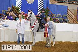14r12_3904 proof