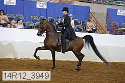 14r12_3949 proof