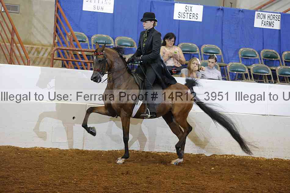 Proof 14r12_3951