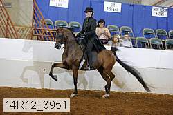 14r12_3951 proof