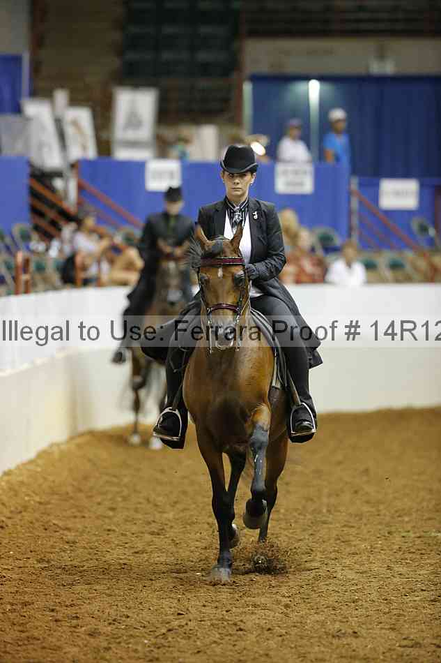 Proof 14r12_3953