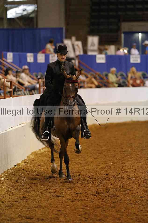 Proof 14r12_3954