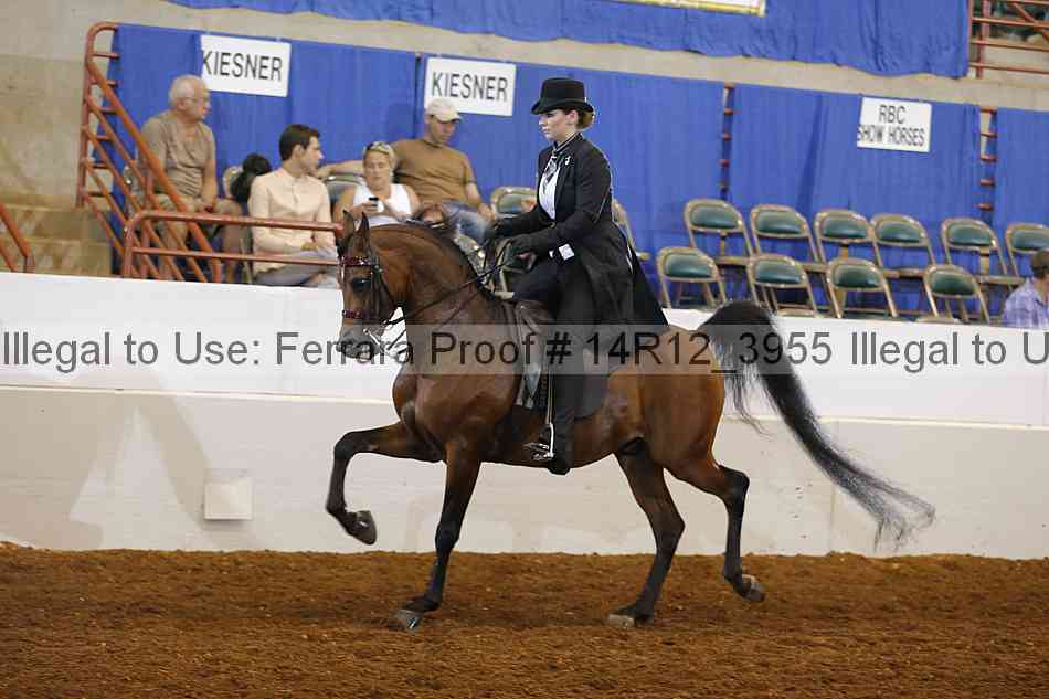 Proof 14r12_3955