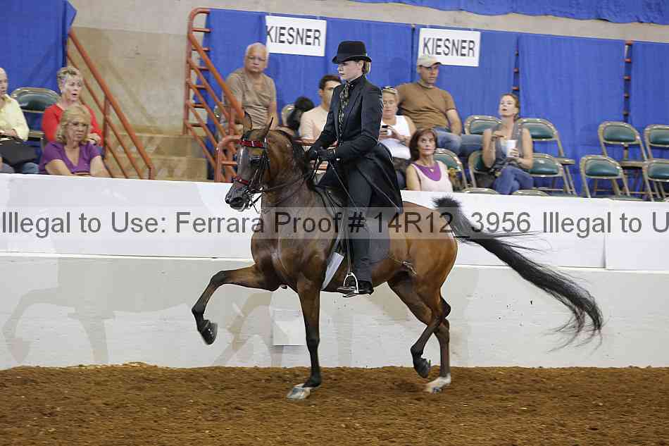Proof 14r12_3956