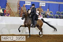 14r12_3956 proof