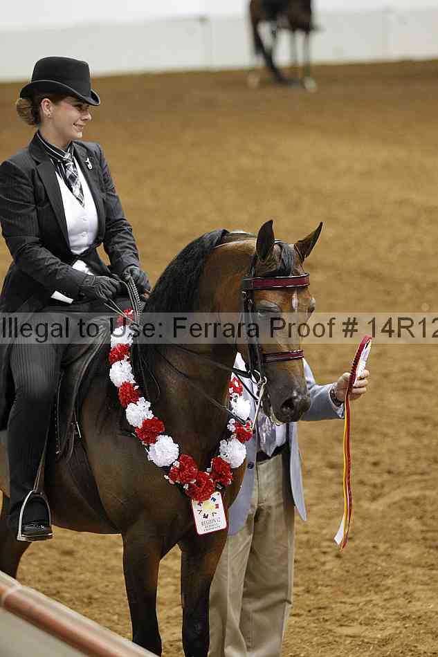 Proof 14r12_3958