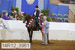 14r12_3961 proof