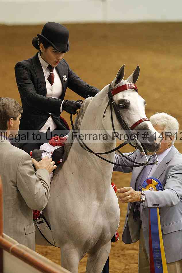Proof 14r12_3966