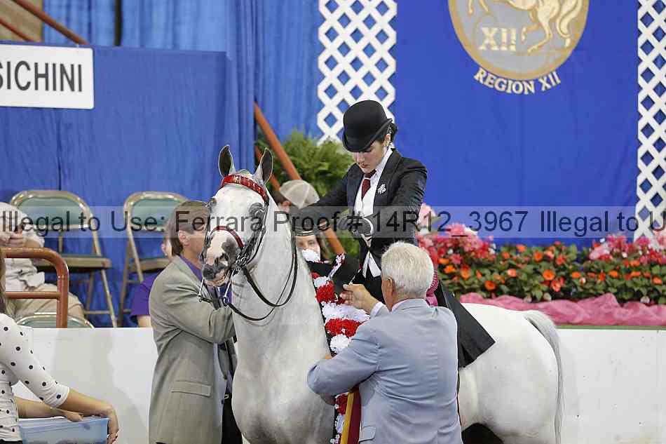 Proof 14r12_3967
