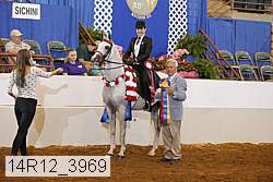 14r12_3969 proof