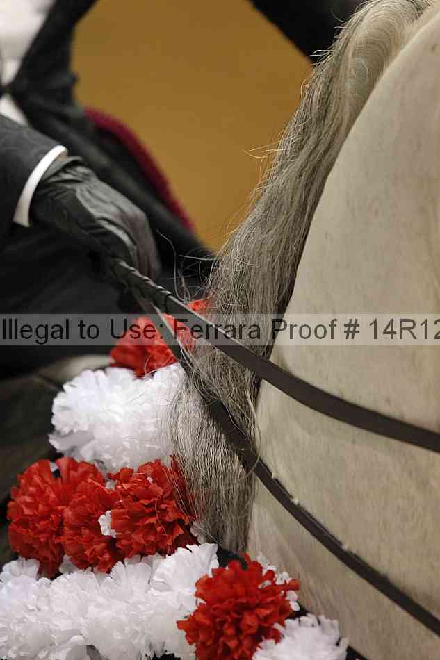 Proof 14r12_3971
