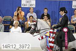 14r12_3972 proof