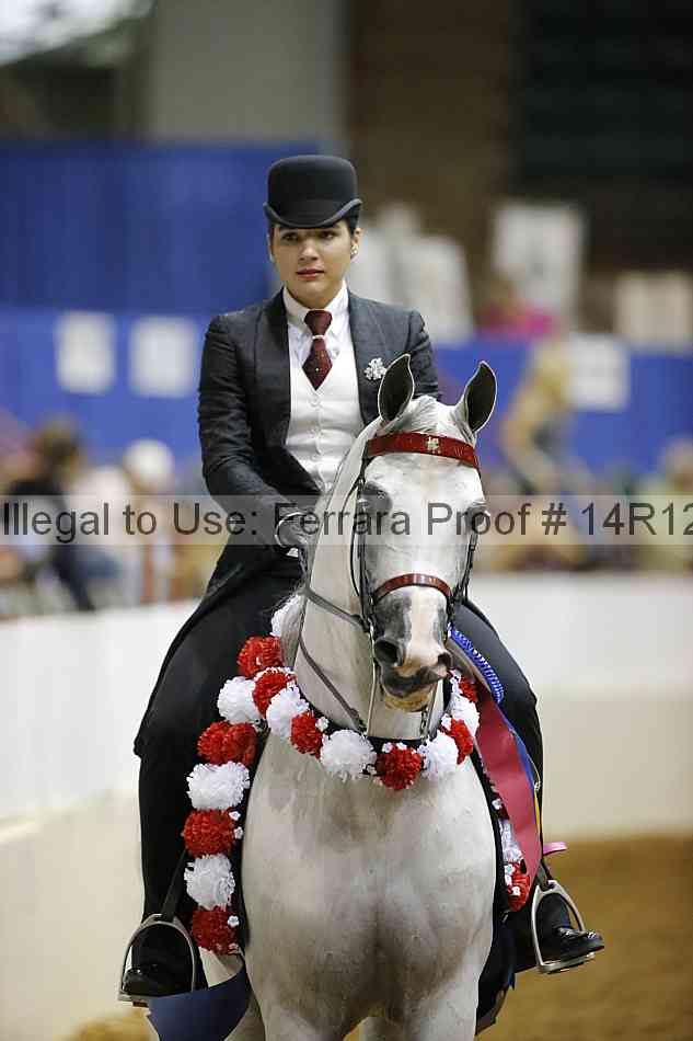 Proof 14r12_3974