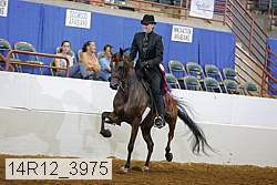 14r12_3975 proof