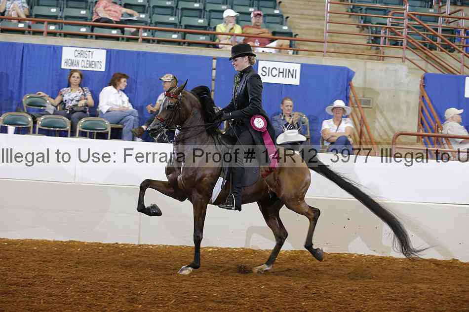 Proof 14r12_3977