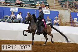 14r12_3977 proof