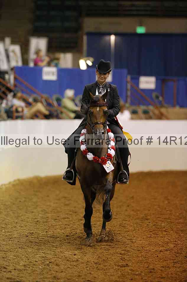 Proof 14r12_3981