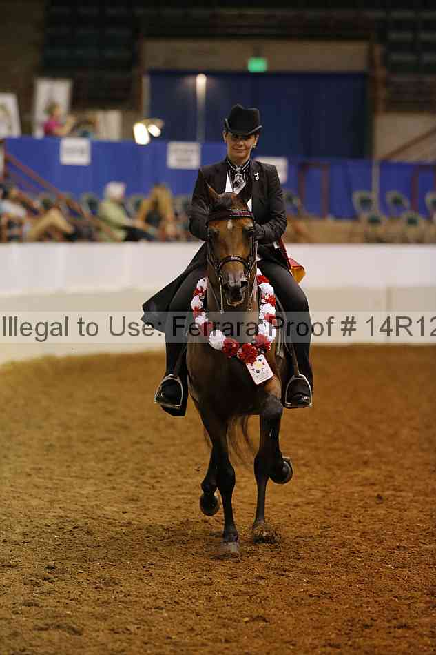 Proof 14r12_3982