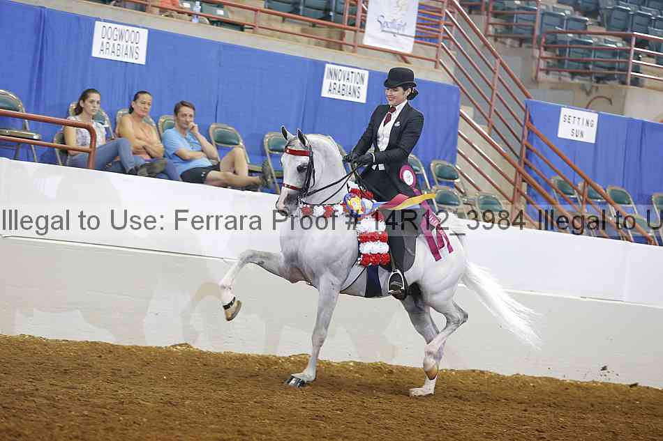 Proof 14r12_3984