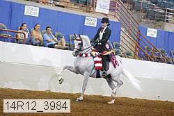 14r12_3984 proof
